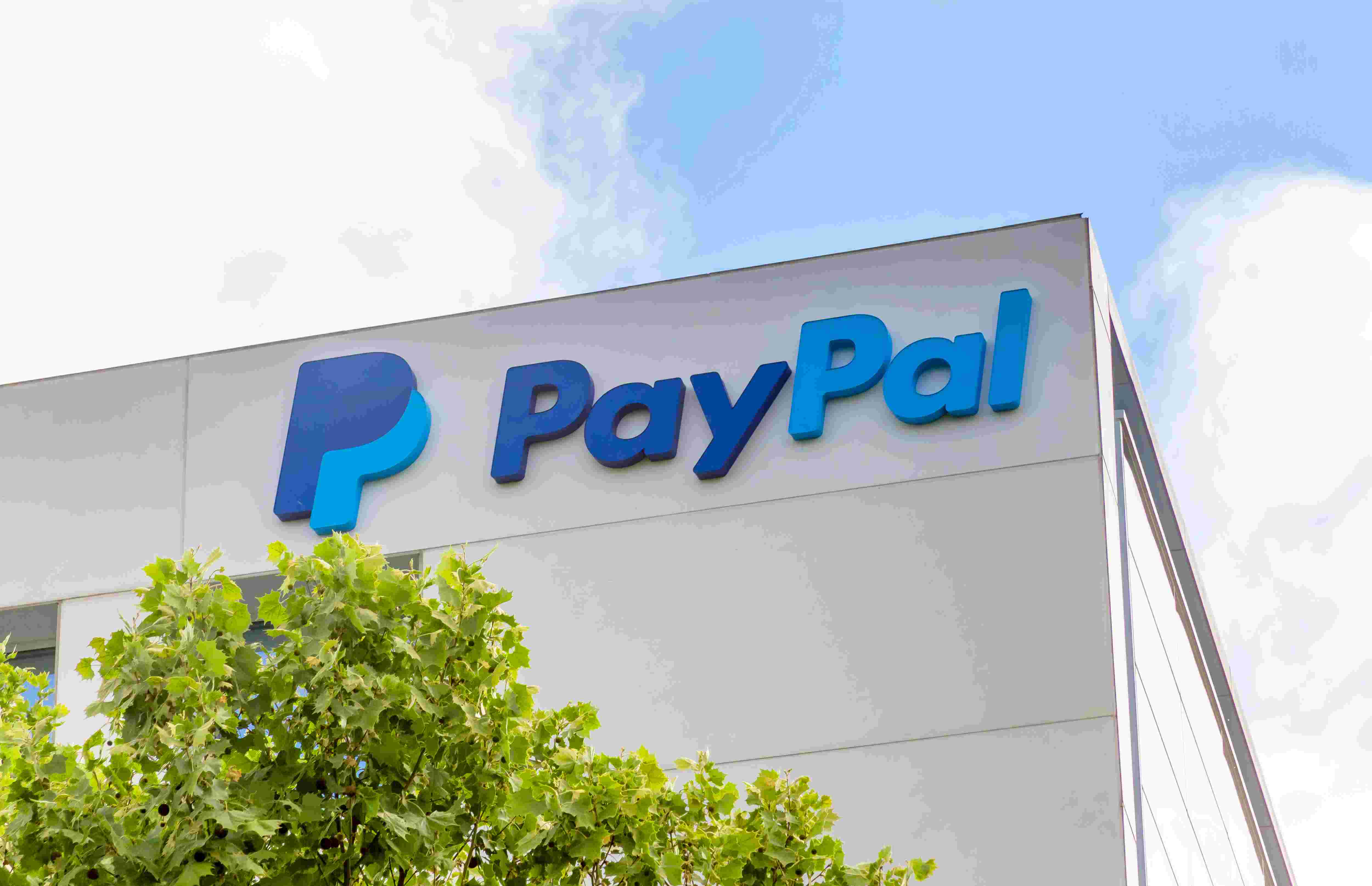 Investors sue PayPal after stock drops 20%