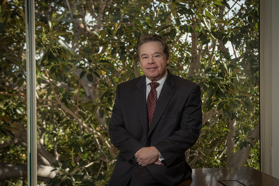 Work ethic drives Elia Pirozzi's approach to dispute resolution