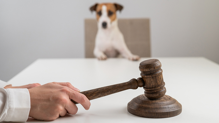 Citation Laundering: How fake cases gain legitimacy by passing through real legal documents