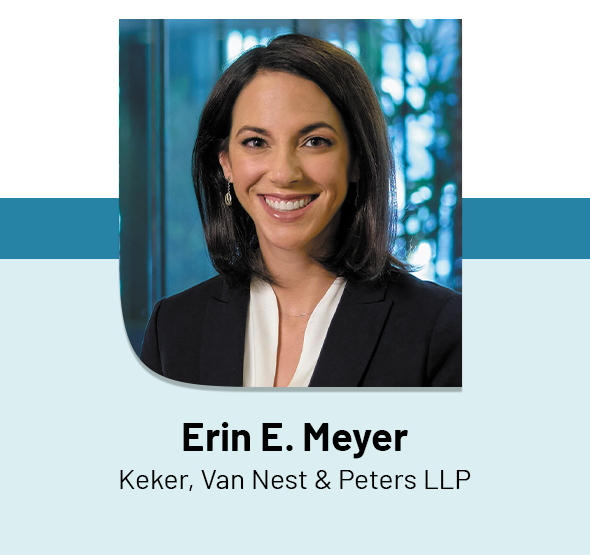 Erin E. Meyer