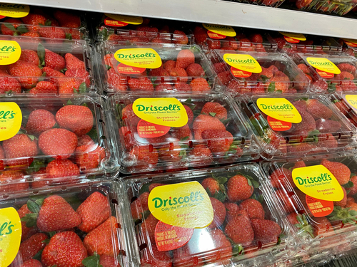 Consumers sue Driscoll's over alleged 'forever chemicals' in berries
