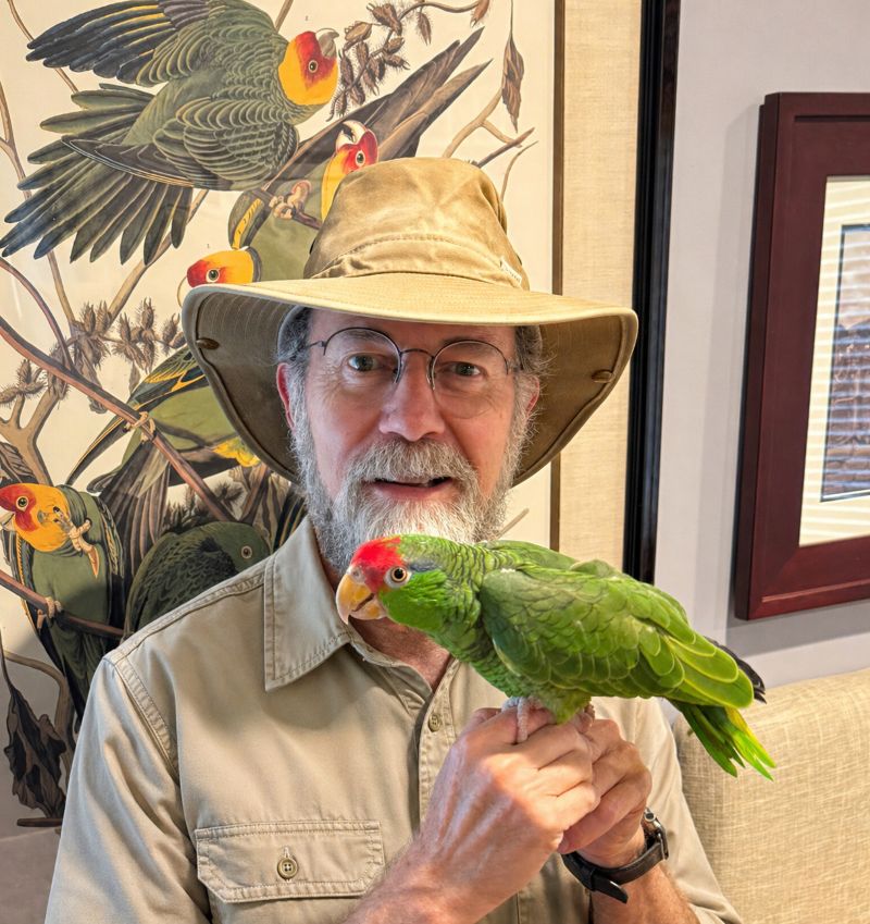 Book review: The Adventures of Herman, a Very "Special" Parrot