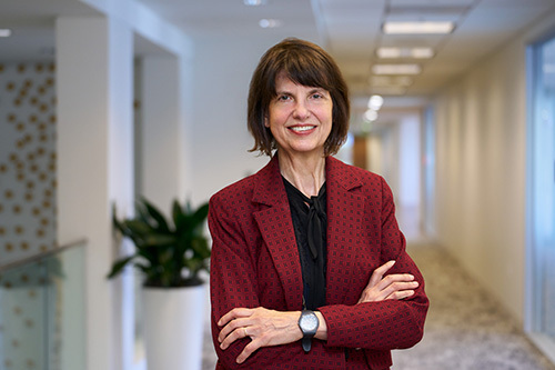 Lizbeth Hasse puts transparency to work in complex disputes