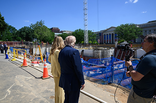 Aesthetic injuries, standing and the White House ballroom
