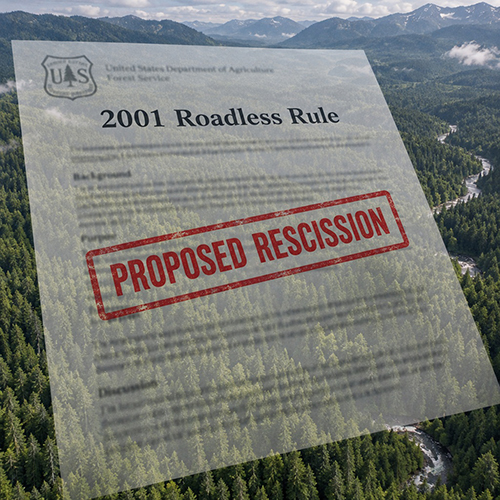 The Forest Service Roadless Rule, revisited