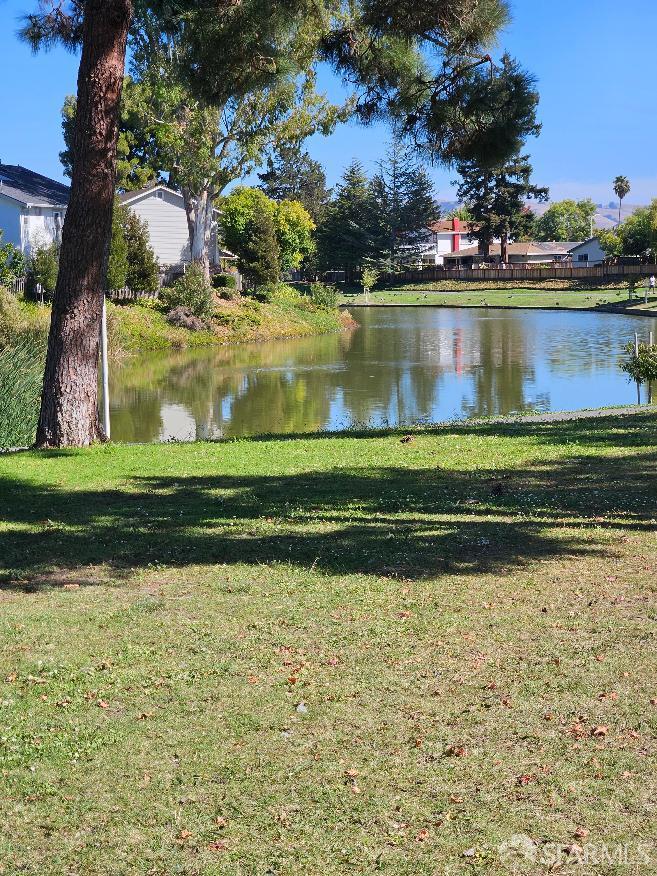 36265 Cedar Blvd, Newark, CA 94560 photo 33