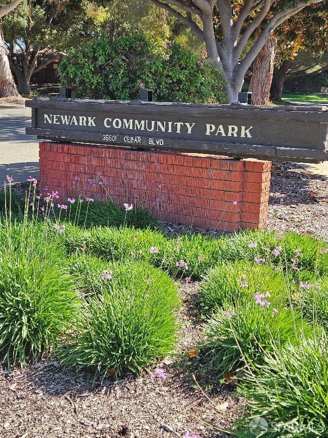 36265 Cedar Blvd, Newark, CA 94560 photo 38
