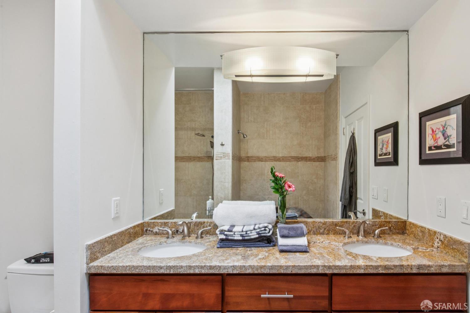 102 Mary Teresa St, San Francisco, CA 94134 photo 38