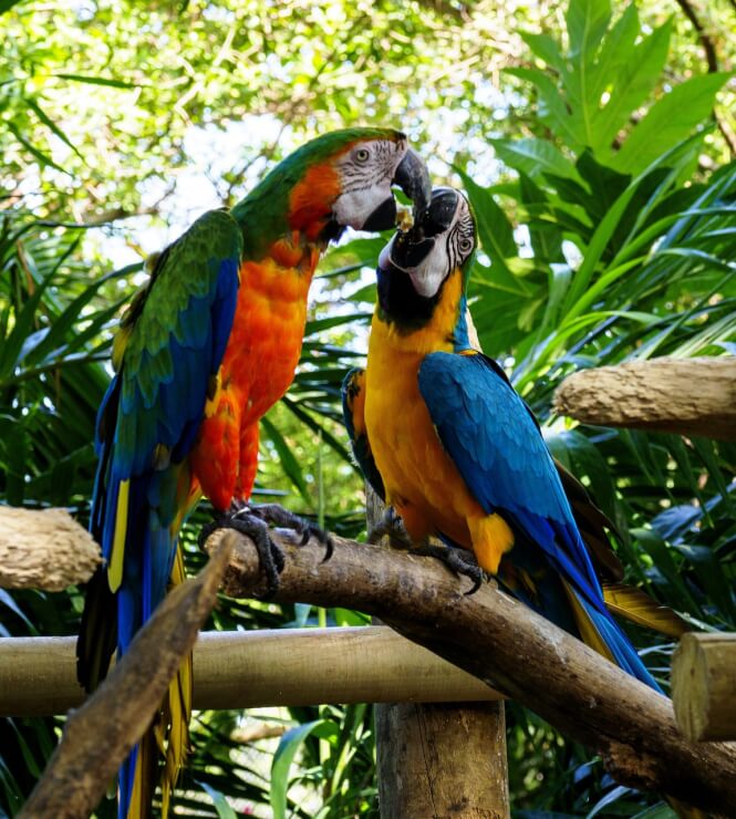 Top 10 Wellness & Travel Experiences in Colombia (2025 Edition)