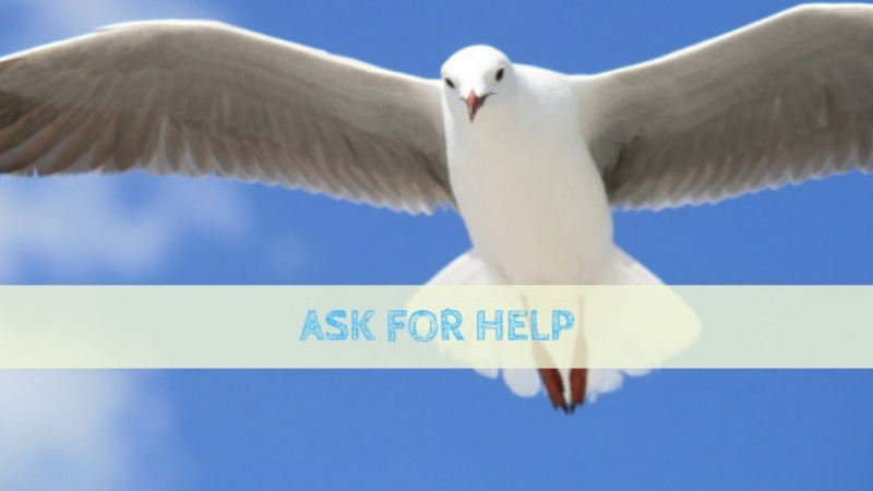 Ask for Help