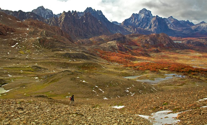 Dientes de Navarino Denomades