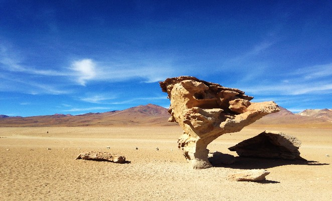 ruta-salar-uyuni-denomades-arbol-piedra