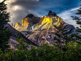 Montaña imponente frente a un bosque