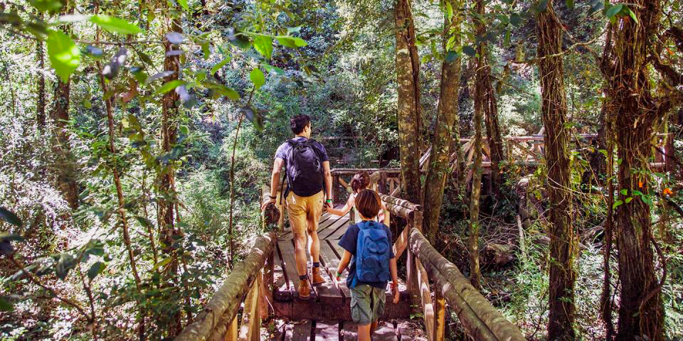 sendero-huilohuilo Familia caminando por sendero en el bosque