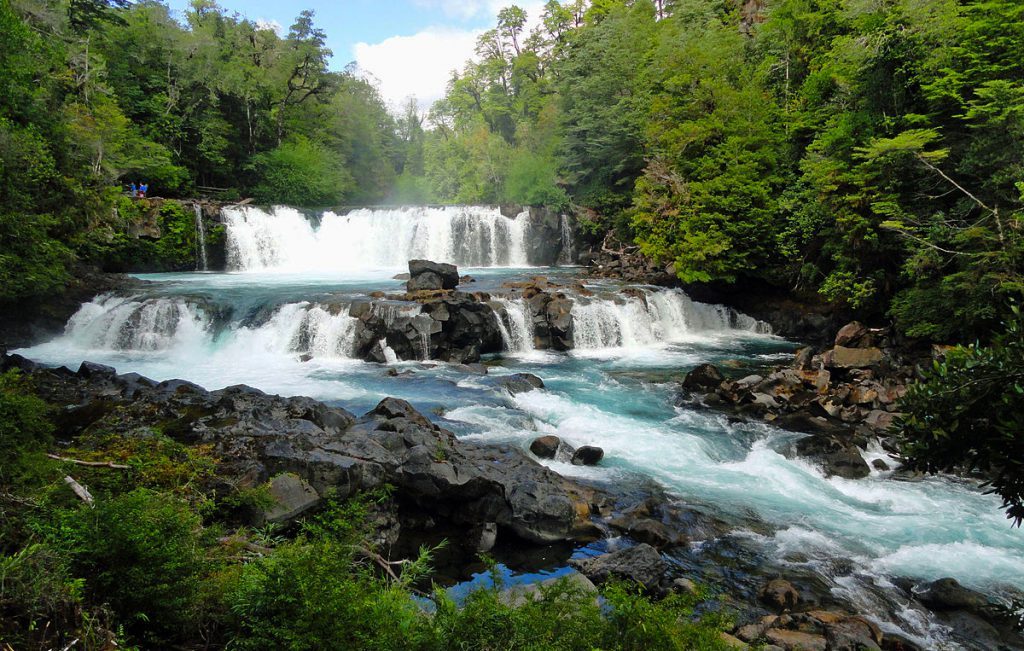 salto-leona Salto de agua en bosque de huilo huilo