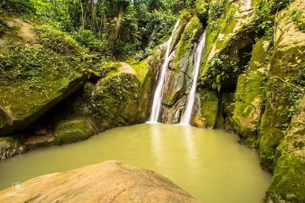 cascada-lamas Cascada en la selva de lamas