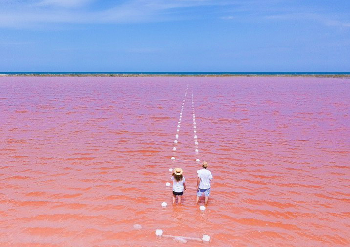 salinas-colombia Pareja enmedio de mar color rosa