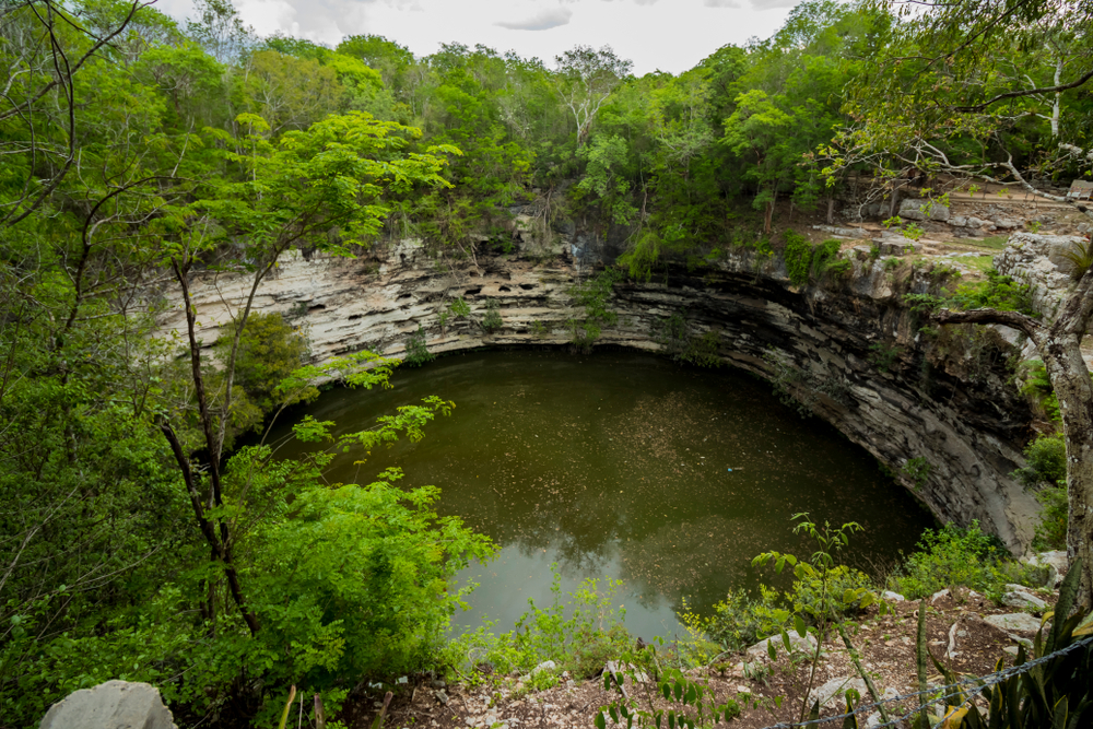 cenote-sagrado Cenote de color verde enmedio de la selva en Chichen Itzá
