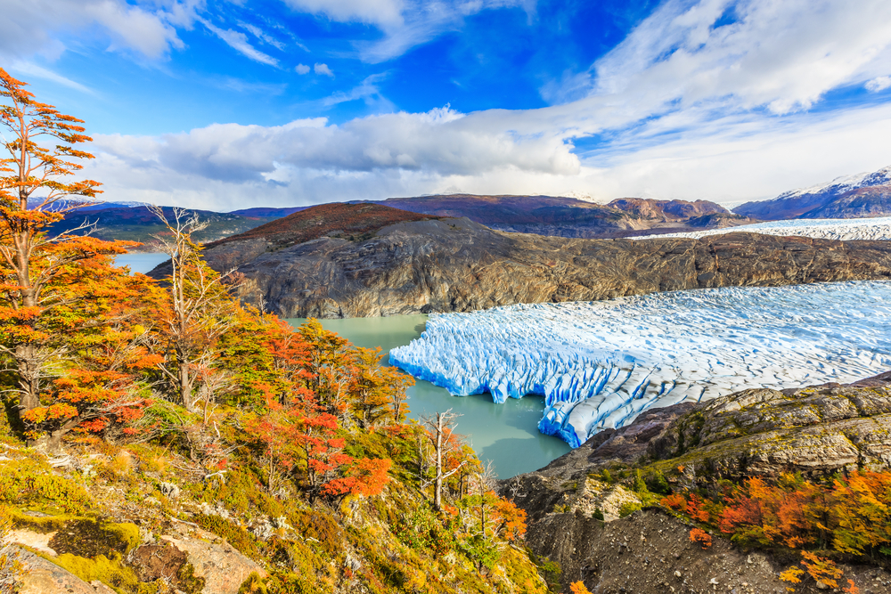 glaciar-grey Hermoso día frente a un glaciar durante otoño en Torres del Paine