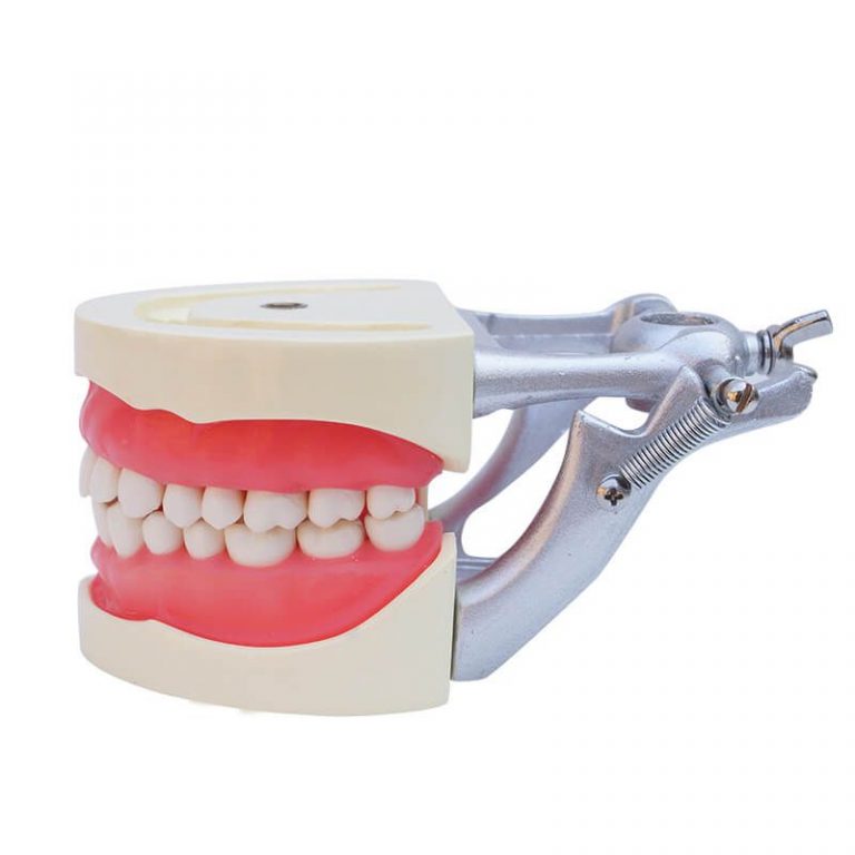Dental Universal Plate 200H Type Removable Teeth Model Dental In Box