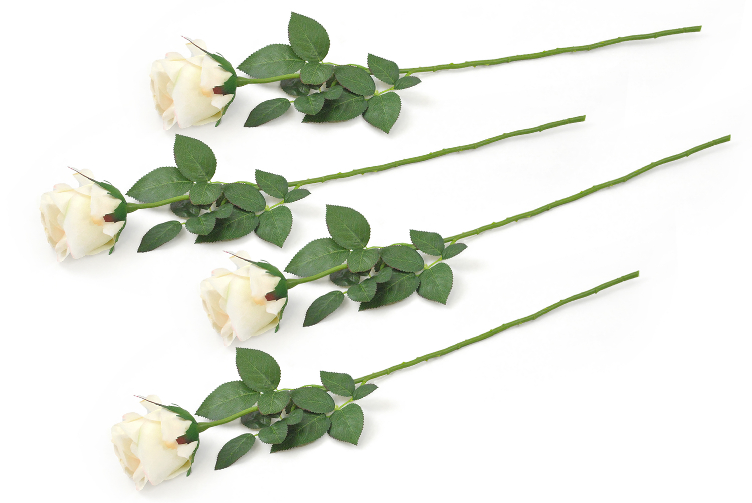 FLOWER CLOSED ROSE CREAM S/4