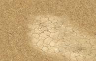 All Cracked Up - interactive app thumbnail