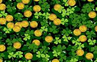 St. Patrick's Day Scatter - interactive app thumbnail