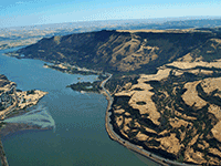Rowena Crest