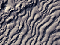 West Bar Ripple Marks