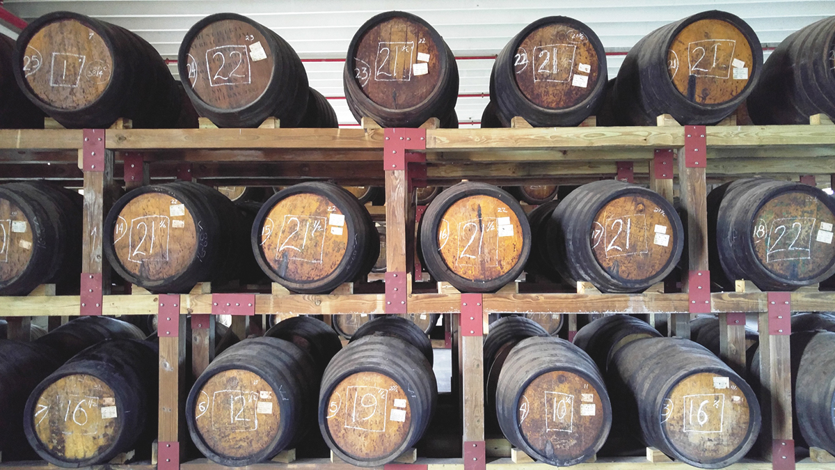 Inside Don Q, Puerto Rico's Most Popular Rum Distiller