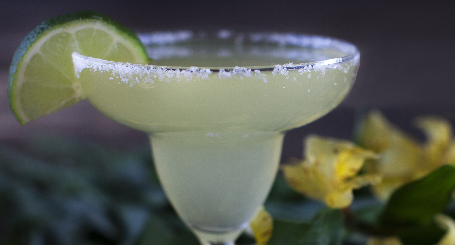 The Margarita The Queen of Sour Cocktails Distiller