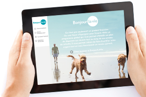 Website screen shot image