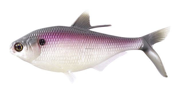 Picture of 13 Fishing Bamf Shad - Swimbait - 8" - Purple Shad