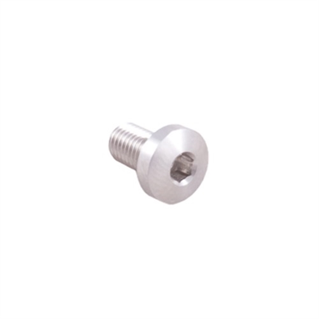 Picture of 1911 Grip Screws 296000139
