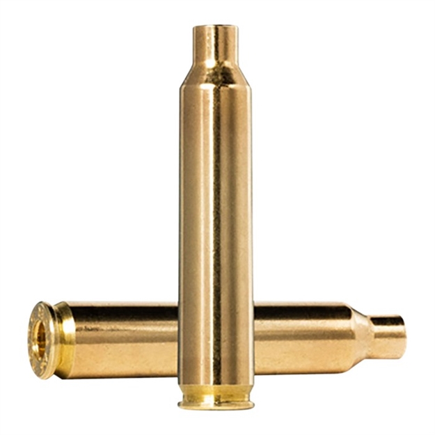 Picture of 204 Ruger Brass Case N/A