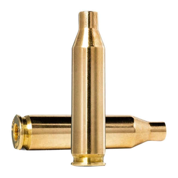 Picture of 243 Winchester Brass Case 430101045