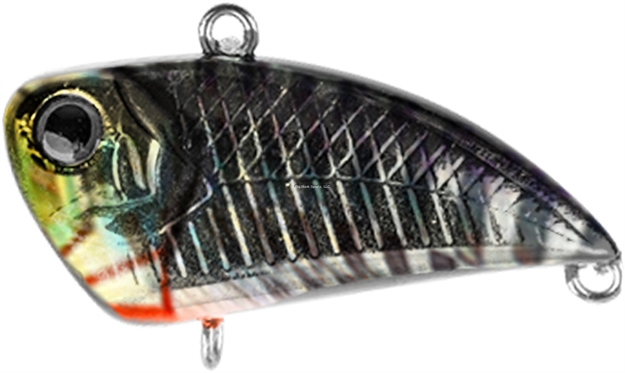 Picture of Acme Stubz 1.25" - Ricky Bobby