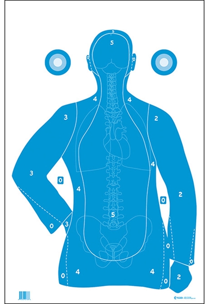 Picture of  Action Target Fb21eantav2100 Qualification  Silhouette/Vitals Paper Hanging 23" X 35" Blue/White 100 Per Box 793936705025