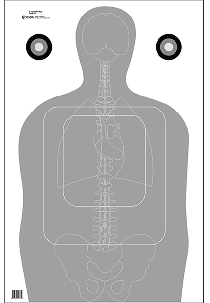 Picture of  Action Target Ftq15antav2100 Qualification  Silhouette/Vitals Paper 23" X 35" Gray/White 100 Per Box 793936705018