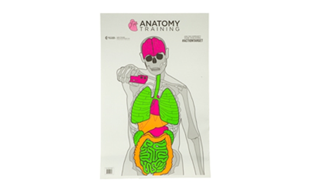 Picture of Action Tgt Anatomy Trng 100Pk GS-ANATOMY-100