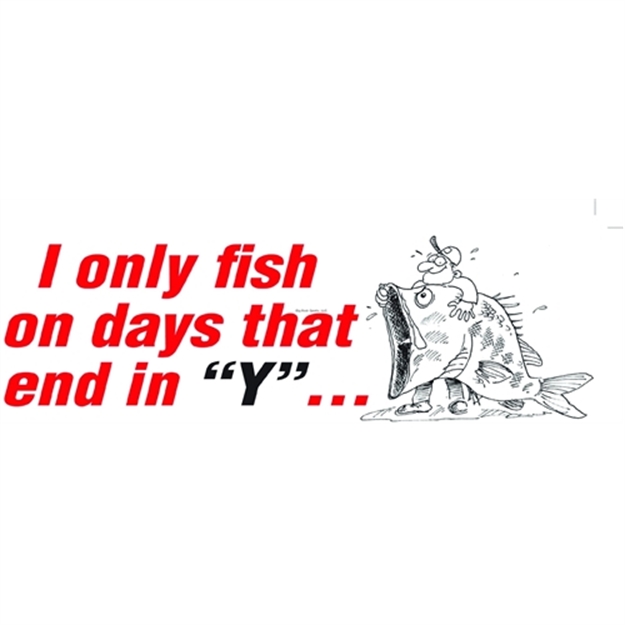 Picture of Afn Fun Decal I Only Fish ON Days That