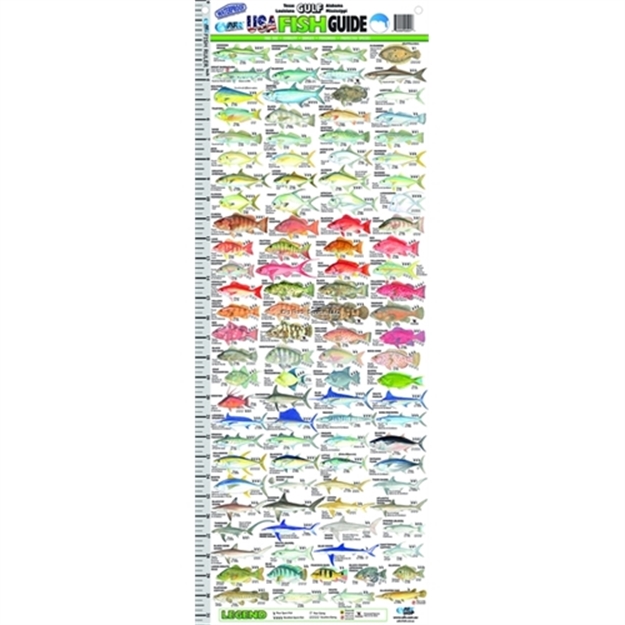 Picture of Afn Gulf Fish ID Ruler