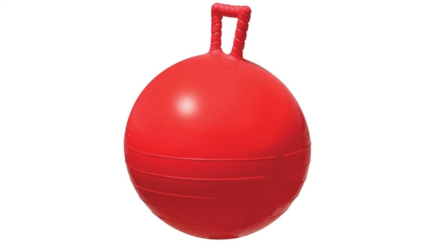 Picture of Airhead Sports Buoy 20" Red