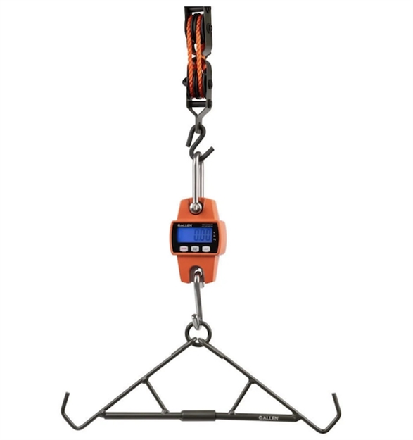 Picture of  Allen 7253 Digital Game Scale Orange Stainless Steel 026509076452