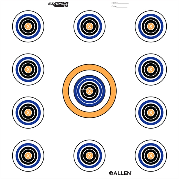 Picture of Allen EZ Aim 11 Spot 12Pk