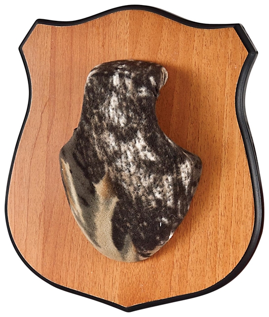 Picture of  Allen 569 Heirloom Mounting Plaque Brown Wood Grain Laminate Includes Engravable Brass Plate/2 Skull Covers