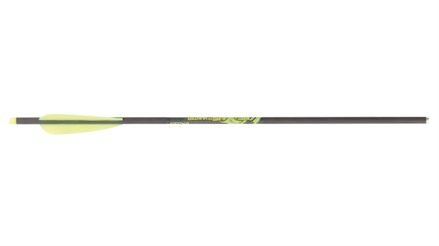 Picture of Allen Nexus Xbow Bolt 20" 3Pk
