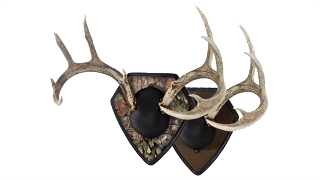 Picture of Allen Trophy Mount Kit Mobu