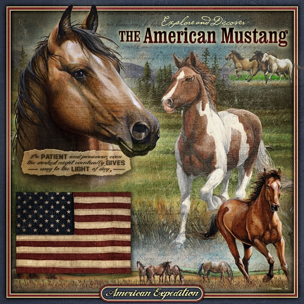 Picture of American Expedition Square Tin Art Sign - Mustang