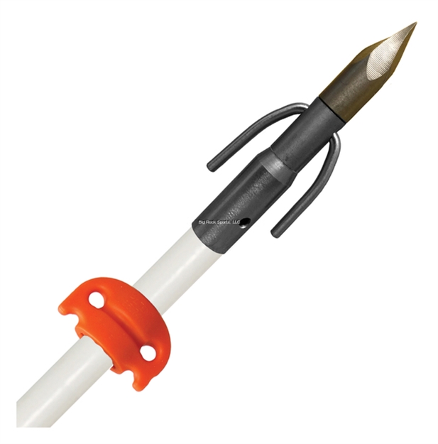 Picture of Ams  Fiberglass Arrow, Chaos QT Point &  Everglid Safety Slide